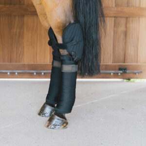 Transport Stable Bandage Pad with Hock Protection