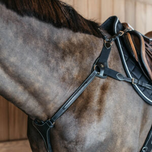 Dy'on Collection 5 Point Elastic Breastplate Black 1